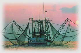 Commercial Shrimp Boat Image - using Brunson Net's Marine Netting