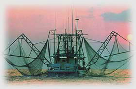 Brunsonnet: Crab Traps, Fish Netting, Shrimp Nets